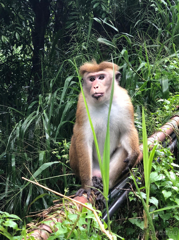 Все что нужно для хорошего отдыха!