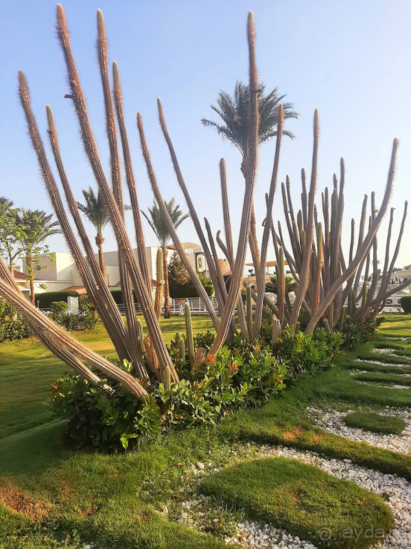 Хорошой отдых и не более