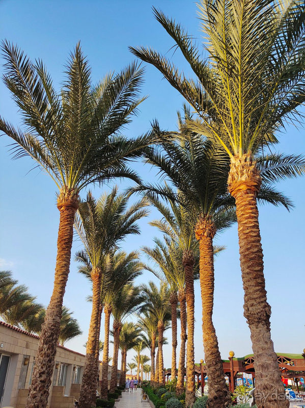 Отель точно не 5 звёзд, 3 с натяжкой 4