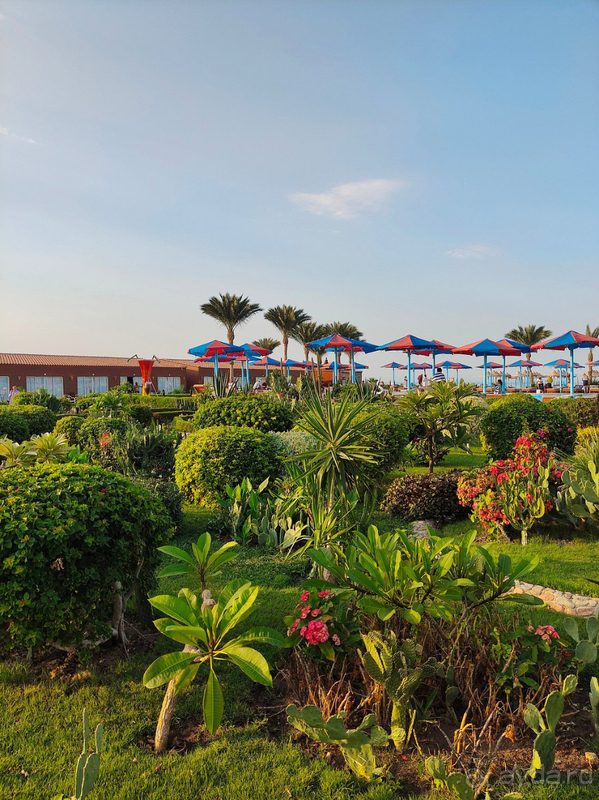 Отель точно не 5 звёзд, 3 с натяжкой 4