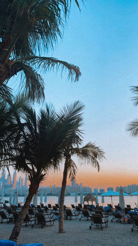 Альбом отзыва "Это то место, куда хочется возвращаться!"