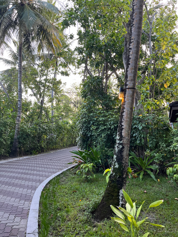 Это замечательный отель