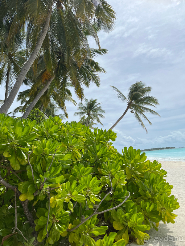 Это замечательный отель