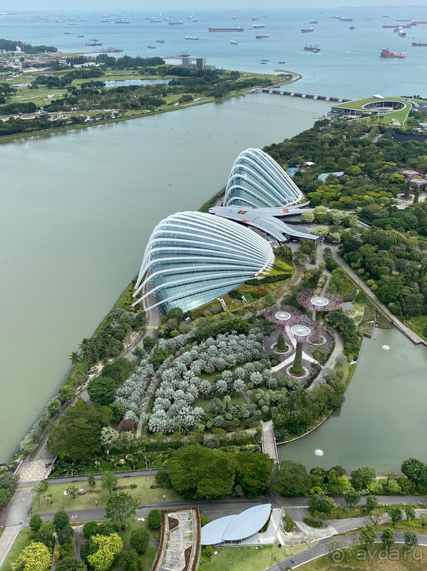 НО очень скучно … НО очень скучно …