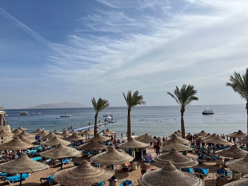 Уютный отель с лучшим рифом, и современным парком Сохо по соседству.