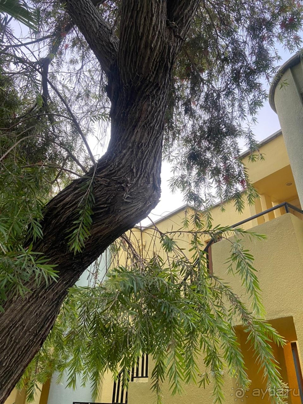 Уютный-семейный отель