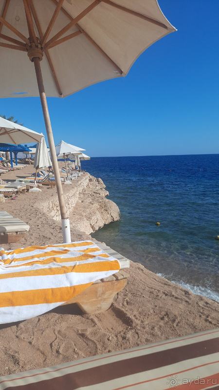 Путешествие в лето☀️