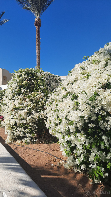 Путешествие в лето☀️