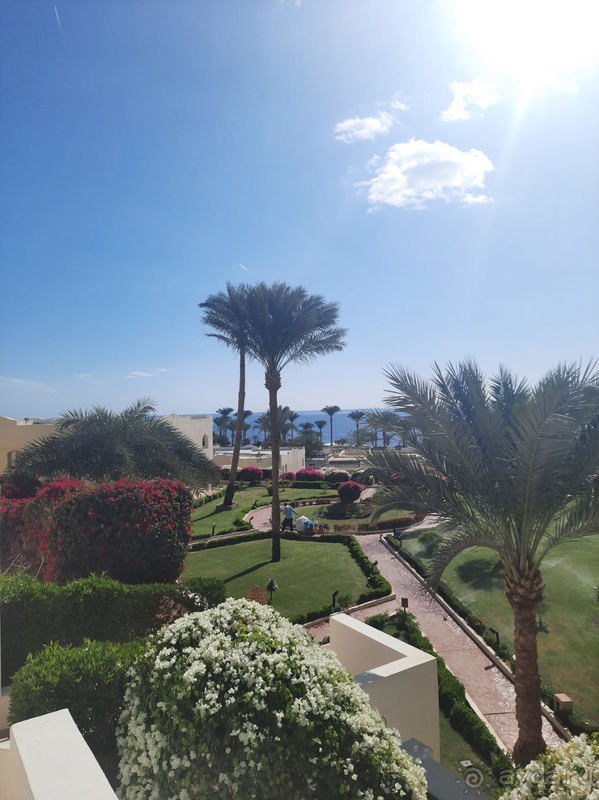 Путешествие в лето☀️