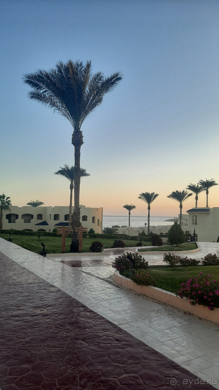 Путешествие в лето☀️