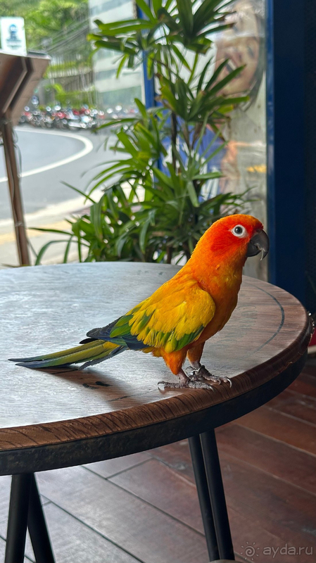 Достойный отель