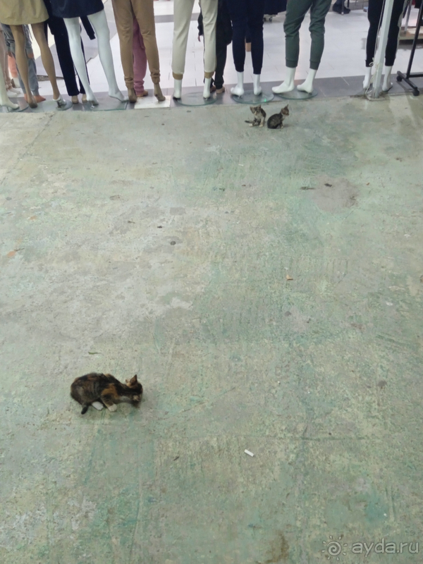 Отель-кладбище-море за 5 минут!