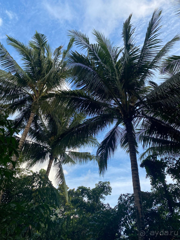 Лучший отель!