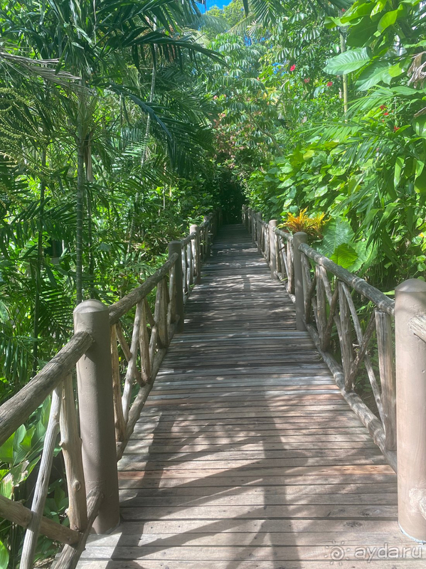 Лучший отель!