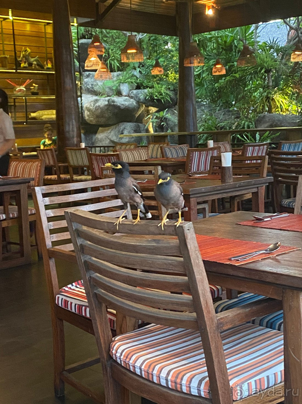 Лучший отель!