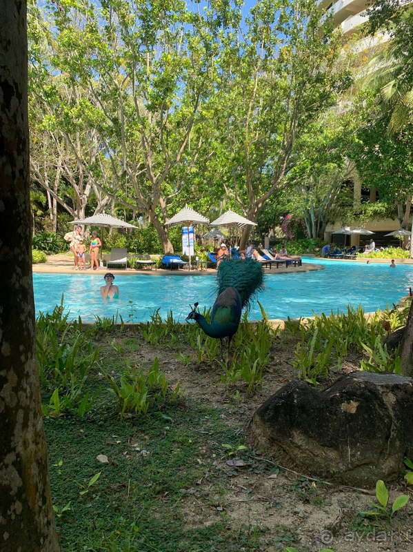 Подуставший отель..