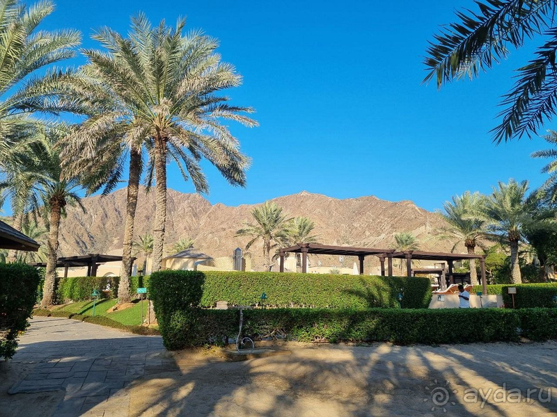 Хороший аккуратный отель и прекрасная погода в январе 2024