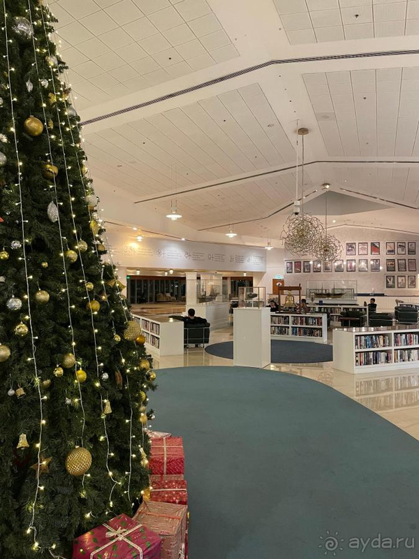  очень рекомендую хотя бы на пару ночей