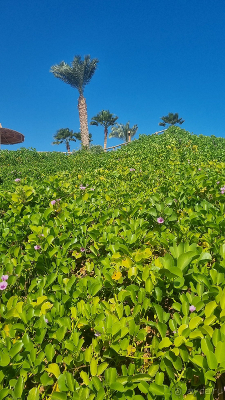 Отличный отель, пригодный для семейного отдыха