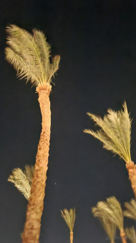 Отличный отель, пригодный для семейного отдыха