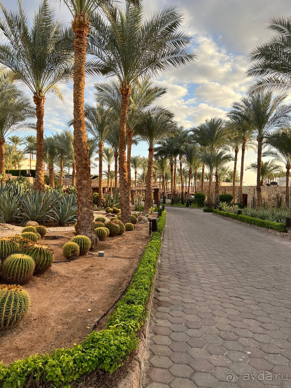 впечатление после 3 раз пребывания в отеле