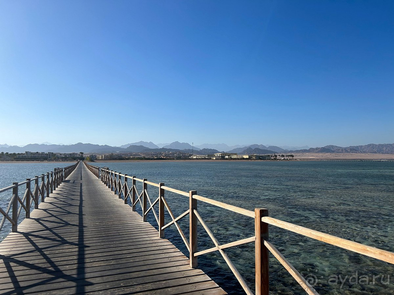 Мы с семьей остались в восторге от отеля!!!