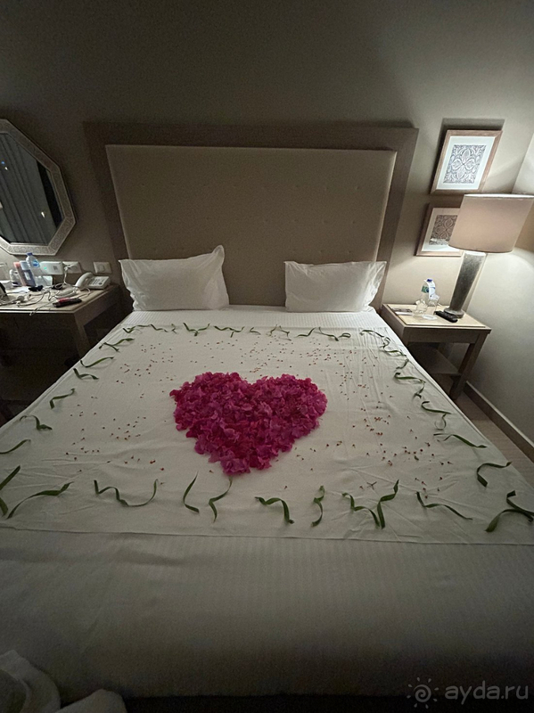 Мы с семьей остались в восторге от отеля!!!