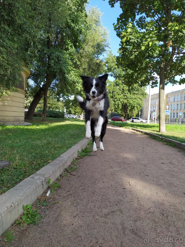 Альбом отзыва "Хорошая гостиница для ночлега"