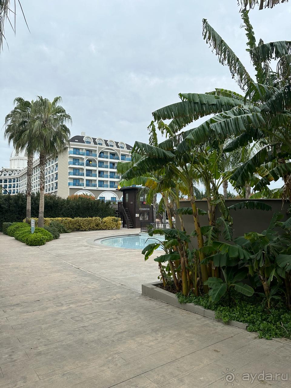 Все понравилось !!