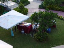 Апельсиновый сад в Виктории