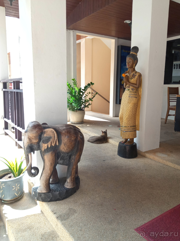 фото Jiraporn Hill Resort