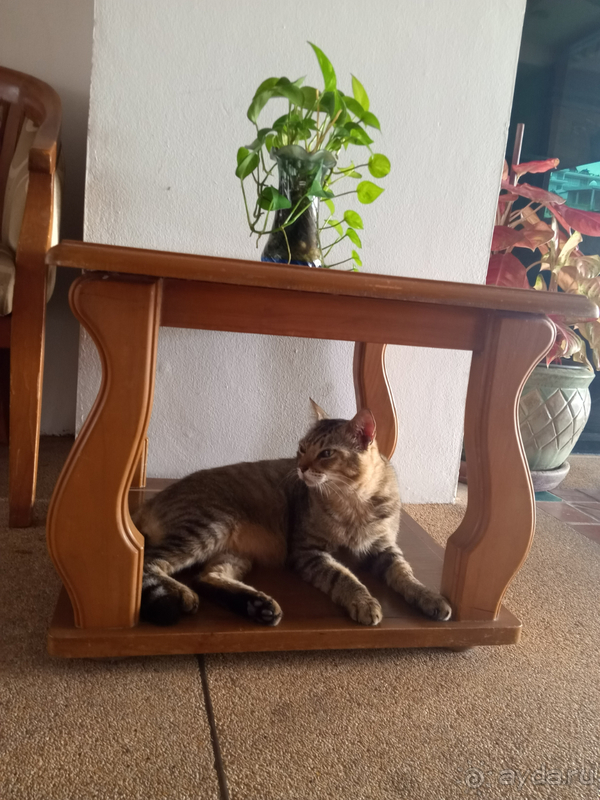 Альбом отзыва "Jiraporn Hill Resort - возвращаюсь снова"