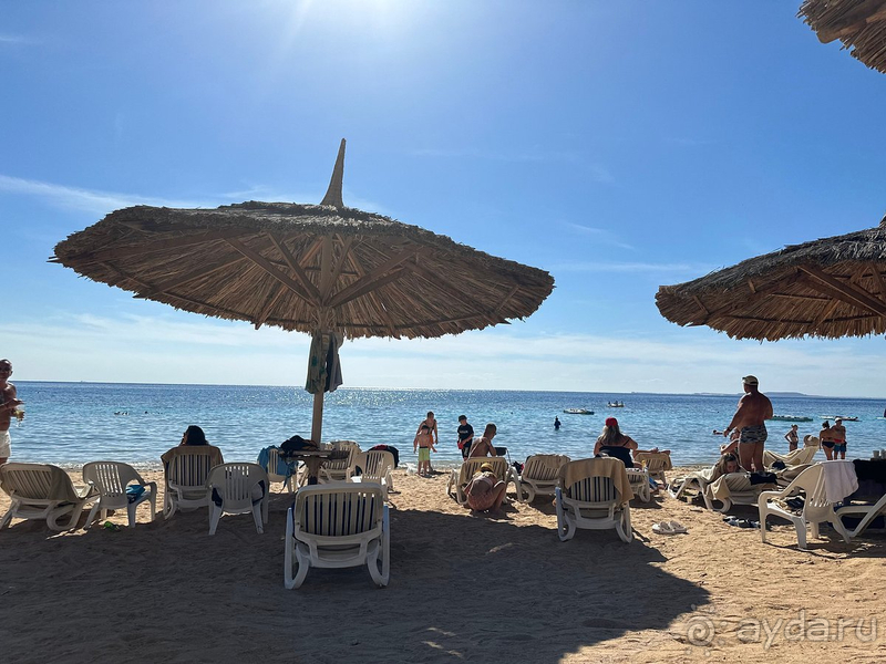 Отзыв об отдыхе в Faraana Reef Resort