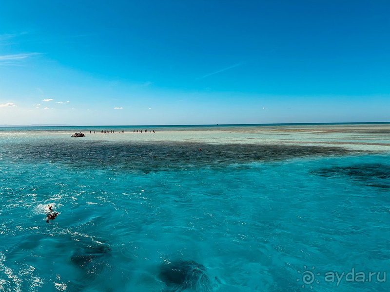 Отзыв об отдыхе в Faraana Reef Resort