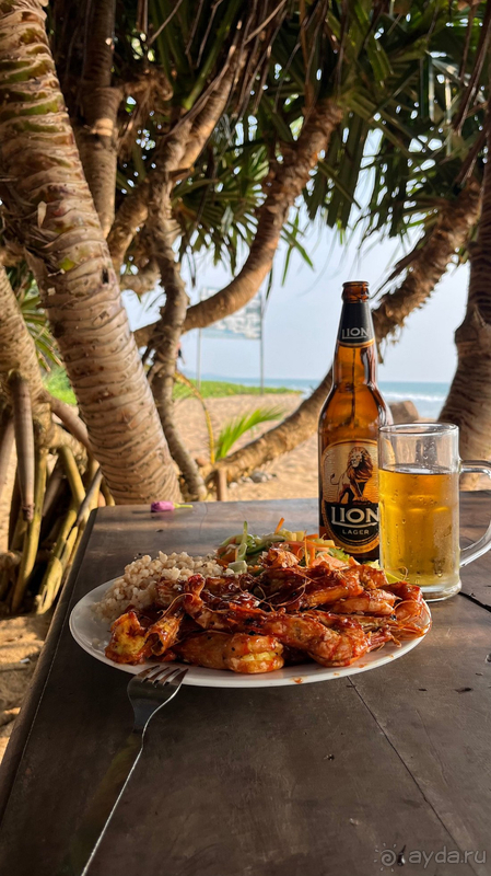 Хорошо отдохнула