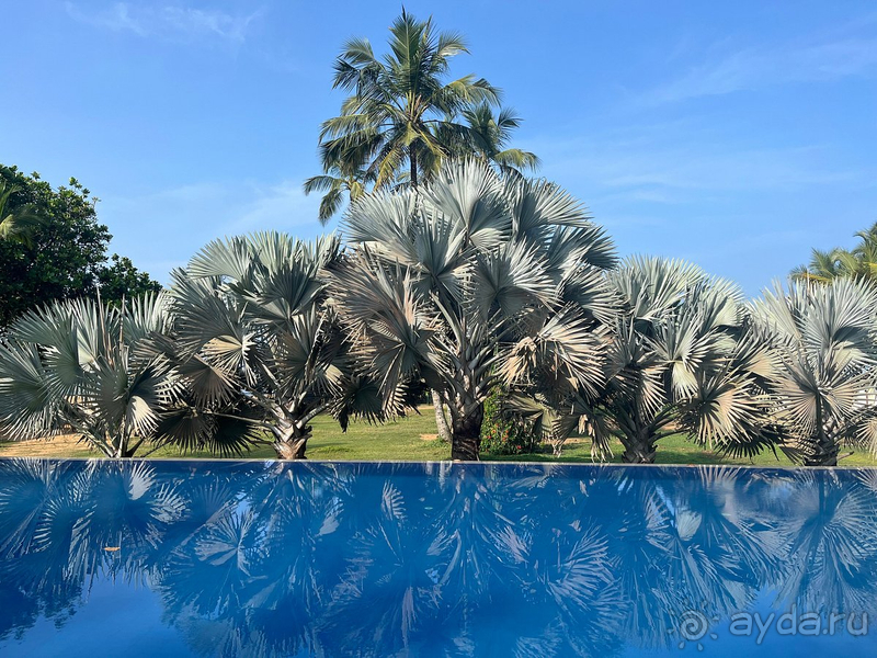 Хорошо отдохнула