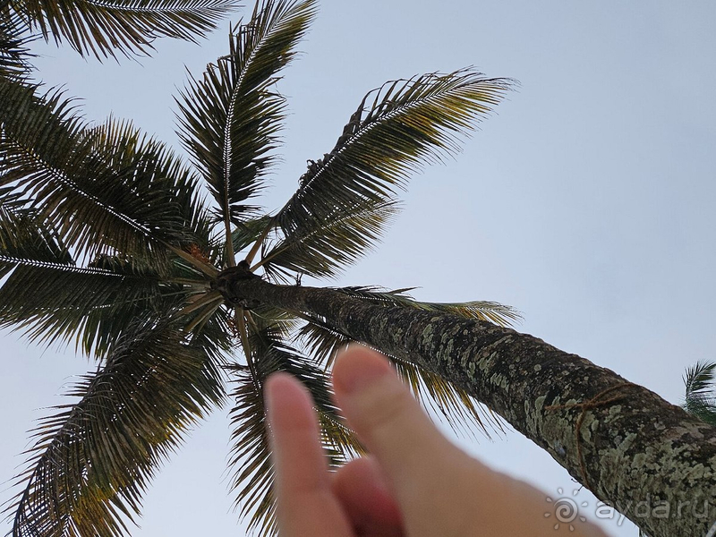 фото Hikkaduwa Beach Hotel