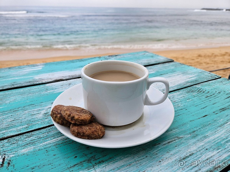 фото Hikkaduwa Beach Hotel