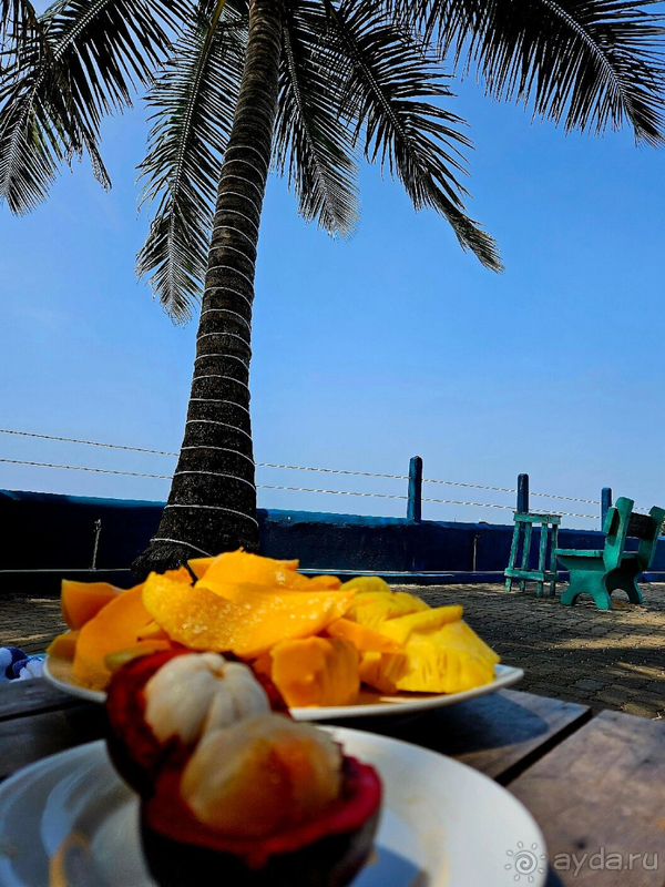 фото Hikkaduwa Beach Hotel