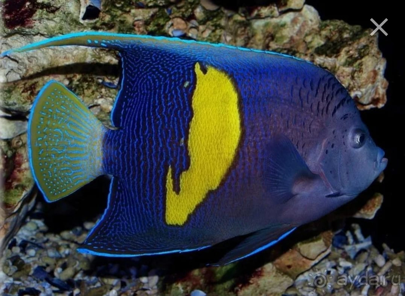 Хочу повторить