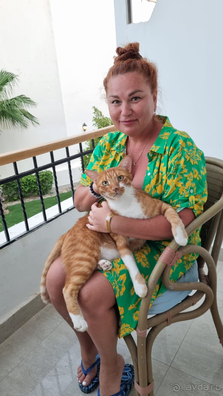 Хочу повторить