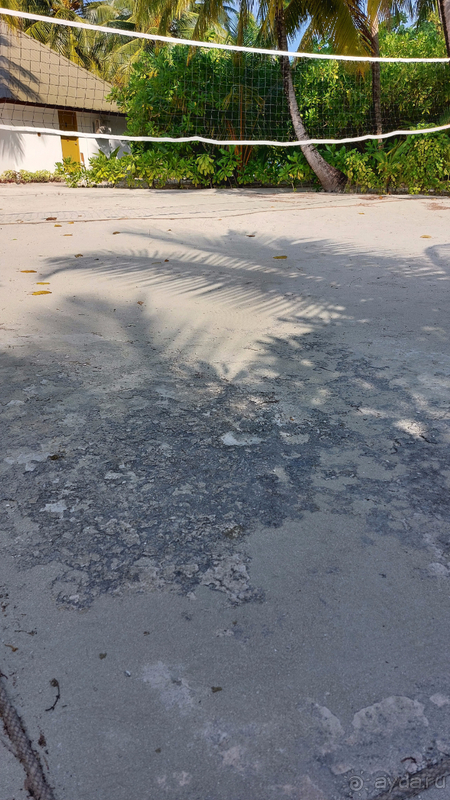 Несоответствие  цены качеству предоставляемых услуг