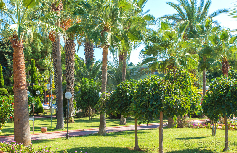 Хороший отель, оставивший положительные эмоции