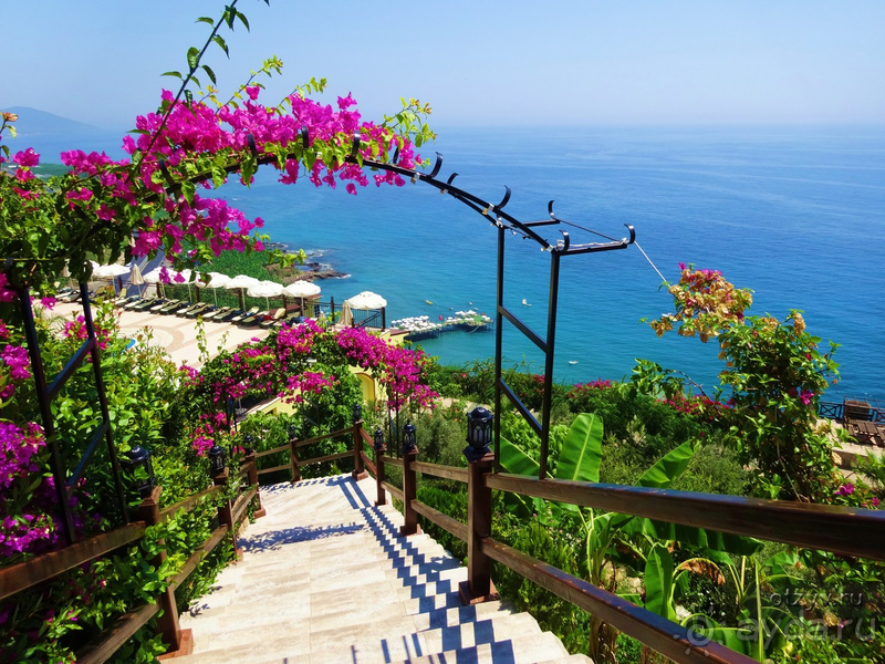 Прекрасный отель в Турции