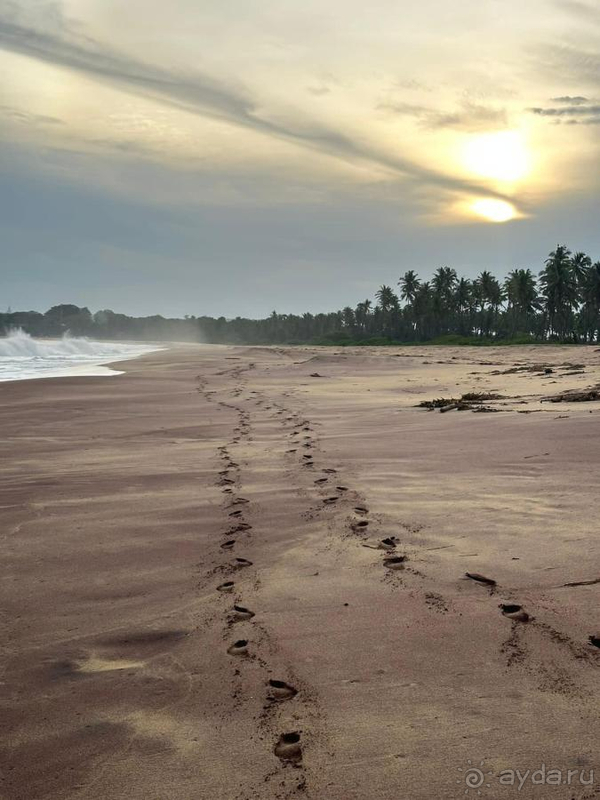 мне все понравилось