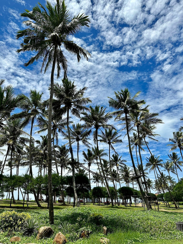 фото Shangri-La Hambantota