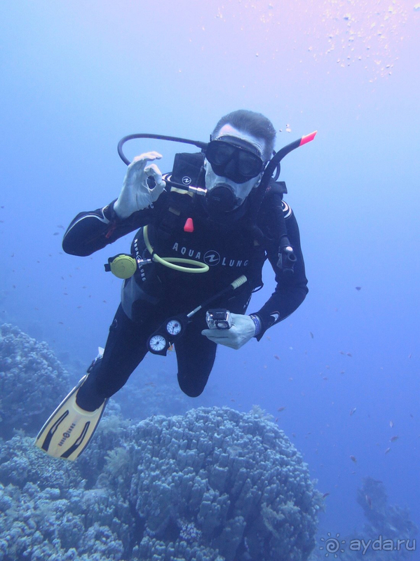 Пляжный отдых