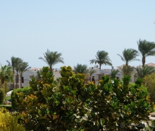 Отличный отель, в котором понравится каждому