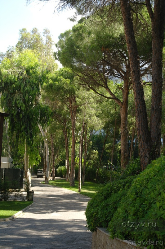 Очень переоценили