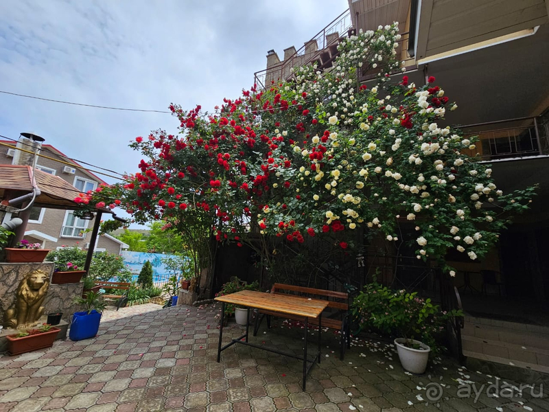 Уютный и гостеприимный отель